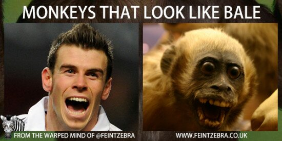 Bale Looks Like This Monkey