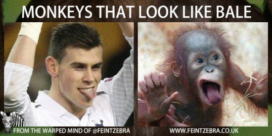 Bale Looks Like This Monkey